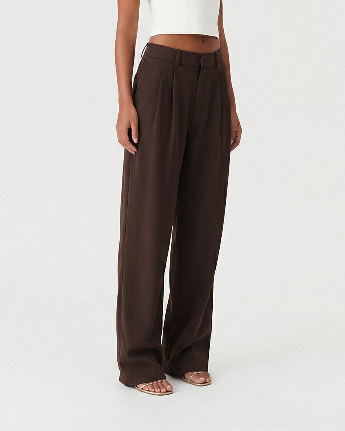 High-Waisted Wide-Leg Trousers with Deep Pleats - Brown
